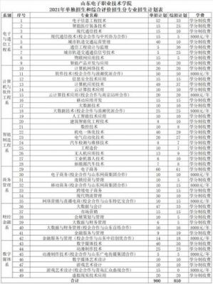 山东电子职业学院招聘笔试（山东电子职业学院招聘2021）