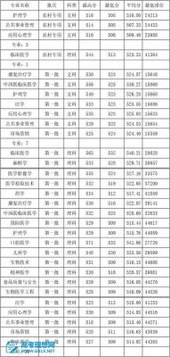 湖南高等医学专科学校（湖南高等医学专科学校分数线）