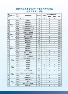 贵阳轻轨职业学校（贵阳轻轨职业学校招生条件）-图2