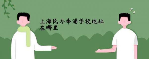 奉浦民办学校（民办奉浦学校学费多少）-图3