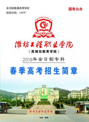 潍坊工程职业学院没网（潍坊工程职业学院教务系统登录入口）-图2