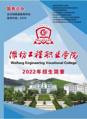 潍坊工程职业学院没网（潍坊工程职业学院教务系统登录入口）