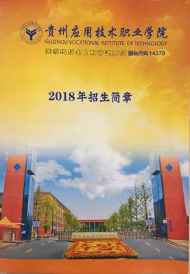 贵州应用技术职业学院招聘（2021年贵州应用技术职业学院招聘）-图3