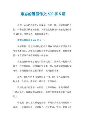 难忘的暑假范文（作文难忘的暑假）-图1