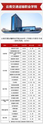 云南交通职业学院青果（云南交通职业青果网登录入口）-图2