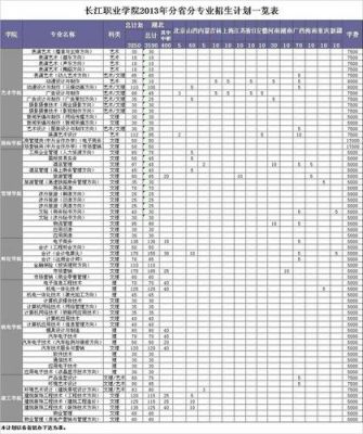 长江职业学院在湘招生代码（长江职业学院报考代码）-图1