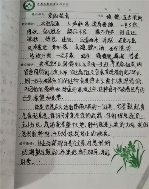 爱的教育范文（爱的教育范文200字）