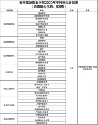 云南旅游文化职业学院学费（云南旅游文化学院学费多少2019年）