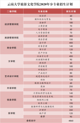 云南旅游文化职业学院学费（云南旅游文化学院学费多少2019年）-图3