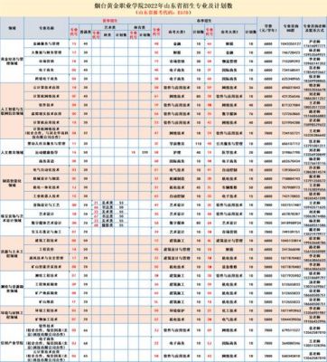 烟台黄金职业学院学校代码（烟台黄金职业学院是专科还是本科）-图1