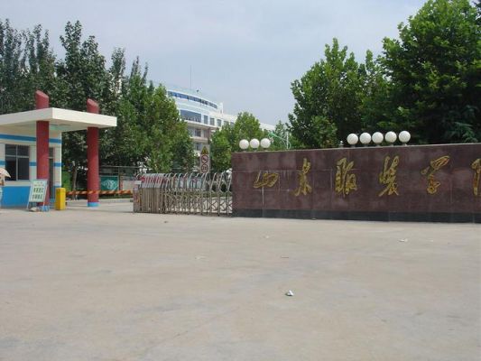 服装学校山东附近（山东服装职业学校地址）-图1