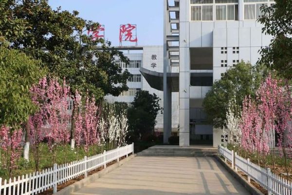 皖西卫生职业学院答疑（皖西卫生职业学院新校区建好了吗）-图2