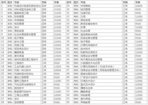 南昌职业学院商务英语学费（南昌职业大学应用英语学费）-图2