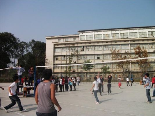 杨林计算机职业学院（杨林林业职业学院）-图3