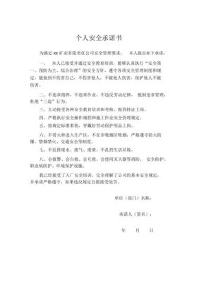 承诺书范文（安全责任承诺书范文）-图1