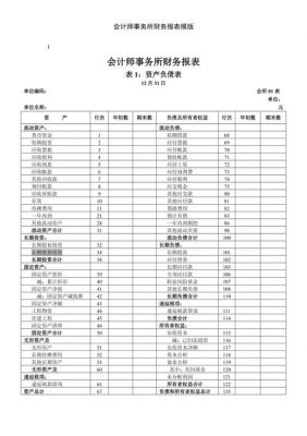 会计报表文字说明范文（会计报表文字说明范文怎么写）-图2