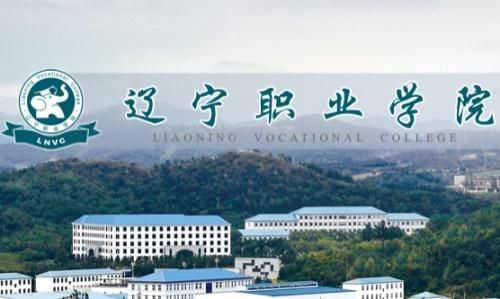 如何去辽宁职业学院（辽宁职业学院可以走读吗）