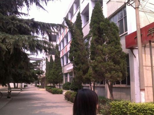 安阳都有哪些财会学校（安阳市财会学校地址）-图3