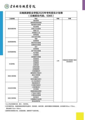 云南旅游职业学院毕业补考（云南旅游职业学院学制几年）-图1