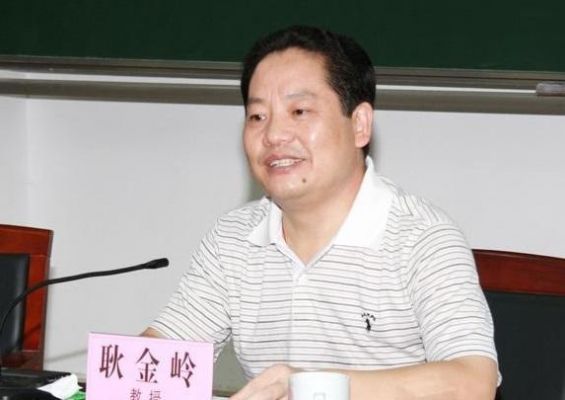 合肥财贸职业学院耿金岭（合肥财贸学校官网）-图2