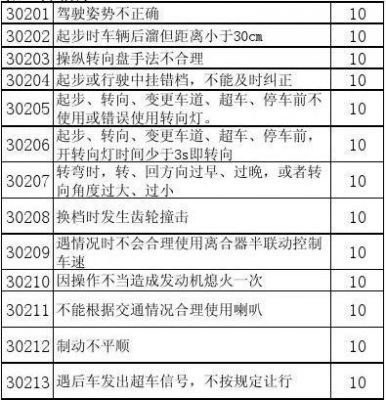 科目三考试评价范文（驾考科三考试评价怎么写）-图1