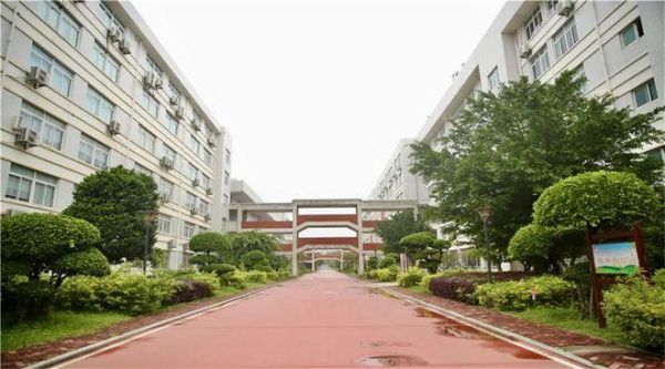 宁德美术学校（宁德美术学院）-图3