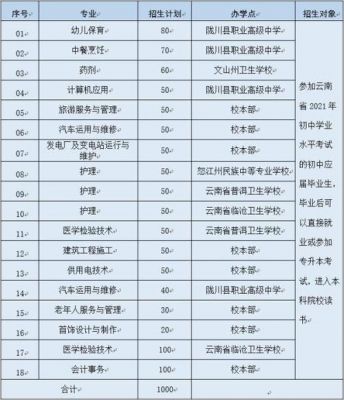 德宏州职业学院招聘（德宏州职业学院招聘公告）-图2