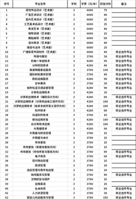 开封艺术文化职业学院专业（开封文化艺术职业学院专业查询）-图1