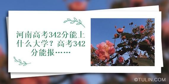 342分报哪个学校好（342分报哪个学校好）-图2