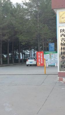 陕西榆林学校地址（陕西榆林的学校）-图3