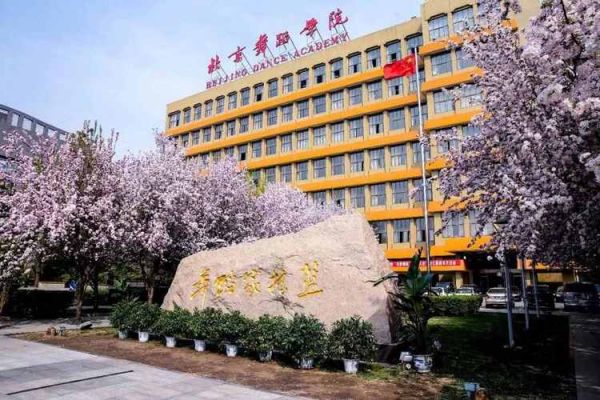 北京哪个学校有舞蹈系（北京哪个学校有舞蹈系的）-图3