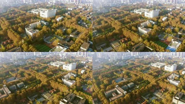 华中科技大学校园全景（华中科技大学校园全景图高清）-图3