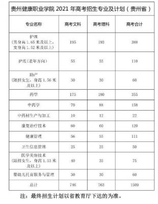 贵州健康职业学院录取（贵州健康职业学院录取人数）-图3