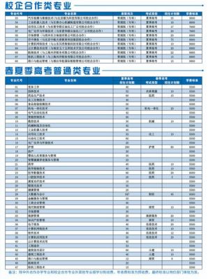 滨州职业学院专升本专业（滨州职业学院专升本录取人数多吗）