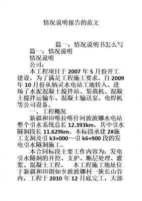 情况说明报告的范文（情况说明报告范文简短）-图3