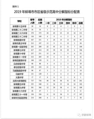 蚌埠民办学校排名（蚌埠民办小学有哪些）-图2