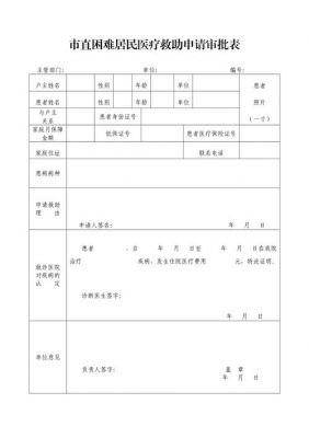 医疗救助审批表范文（医疗救助审核）