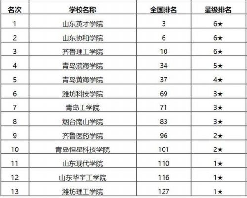 山东职业学院全国排名（山东职业学院排名前十公立）