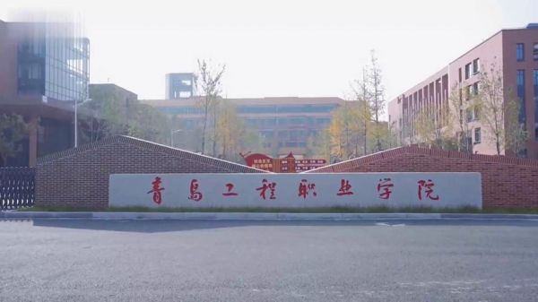 青岛工程职业学院什么区别（青岛工程职业学院是公立学校）-图2