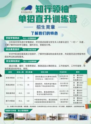 山东职业学院单招培训（山东职业学院单招培训班怎么样）-图1