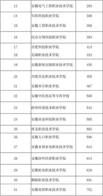 安徽人口职业学院行政级别（安徽职业技术学院人力资源）-图1