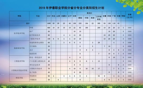 伊春市职业学院录取分（伊春职业学院2020年录取查询）-图2