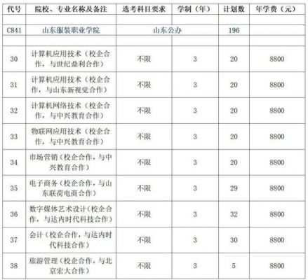 山东服装职业学院招生（山东服装职业学院招生计划）-图2