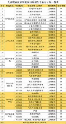 九州职业学院录取分数（九州职业技术学院本科）-图3