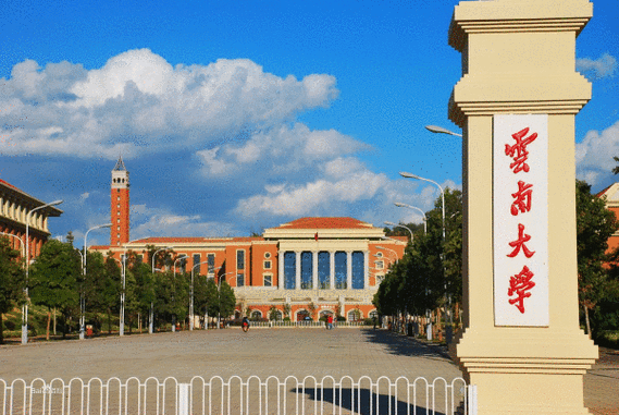 云大学校怎么样（云大是211大学吗）-图2