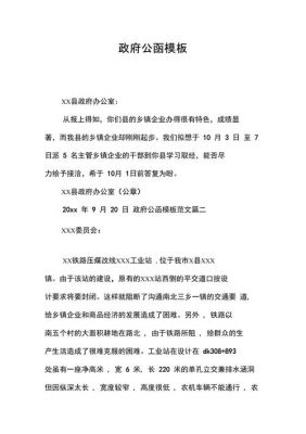 政府公函格式范文（政府公函的格式及范文）-图1