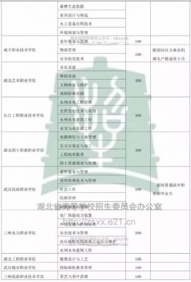 武汉有哪些学校单招（湖北武汉单招学校公办）-图3