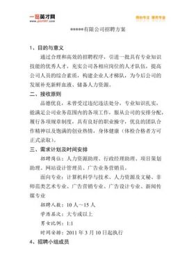 公司招聘方案范文（公司招聘方案范文怎么写）-图1