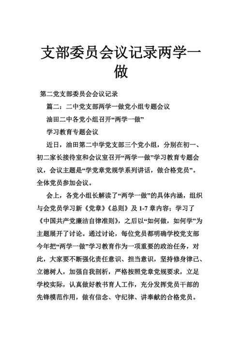 两学一做会议记录范文（2017年两学一做会议记录）-图1