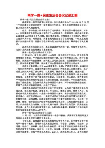 两学一做会议记录范文（2017年两学一做会议记录）-图3